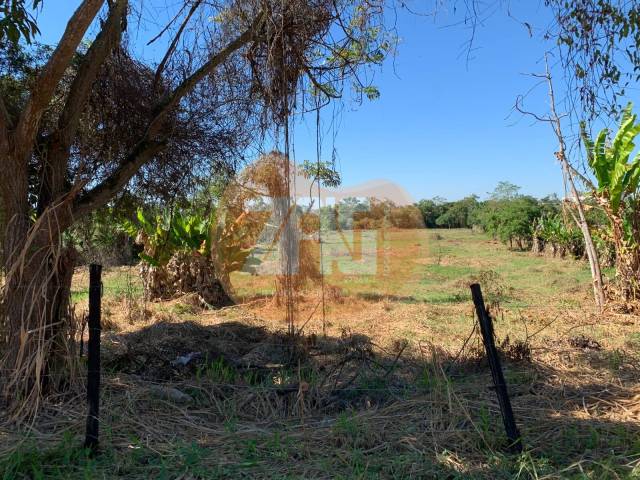 Área para Venda em Caçapava - 4