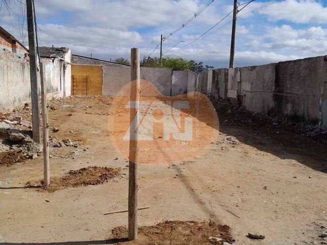 #469 - Terreno para Venda em Pindamonhangaba - SP - 3